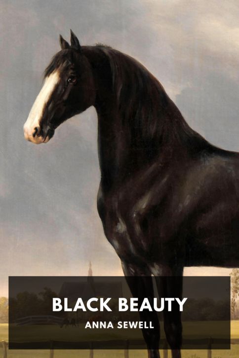 Typing practice story cover: Black Beauty