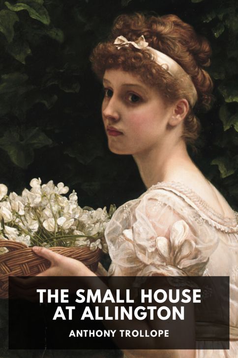 Typing practice story cover: The Small House at Allington