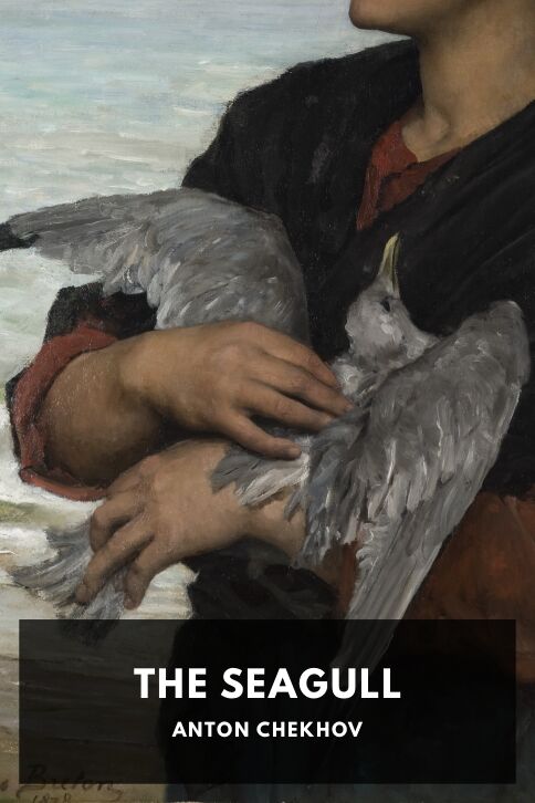Typing practice story cover: The Seagull