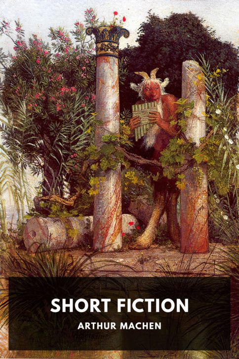 Typing practice story cover: Short Fiction