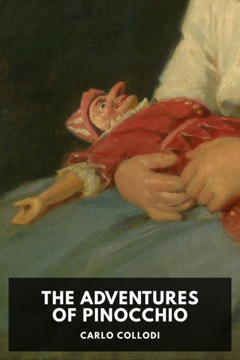 Typing practice story cover: The Adventures of Pinocchio