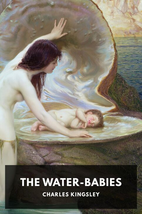 Typing practice story cover: The Water-Babies