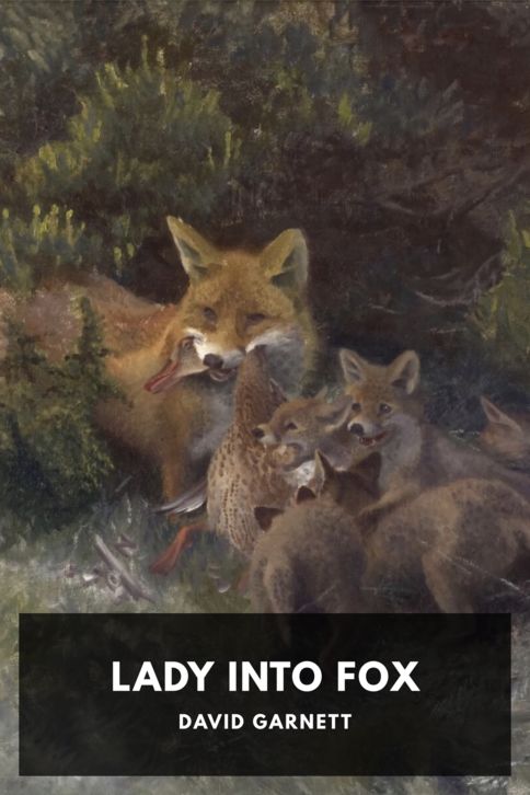 Typing practice story cover: Lady Into Fox