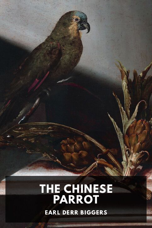 Typing practice story cover: The Chinese Parrot