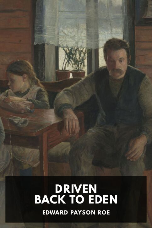 Typing practice story cover: Driven Back to Eden