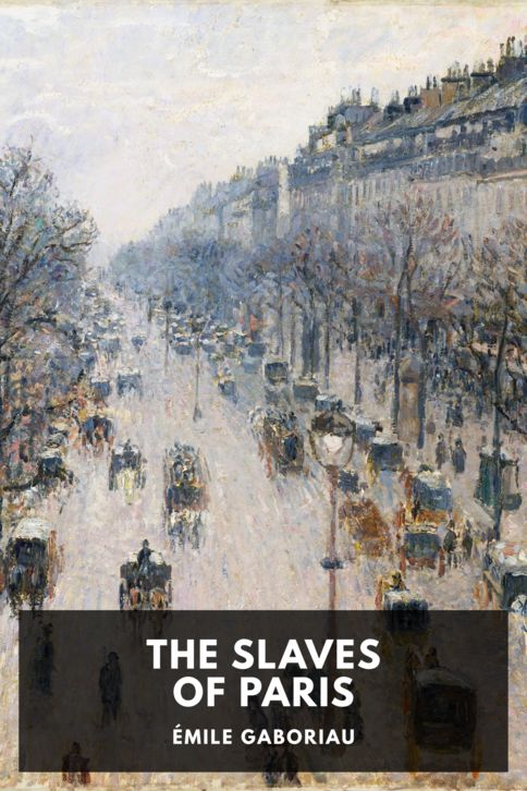 Typing practice story cover: The Slaves of Paris
