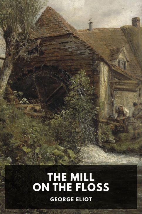 Typing practice story cover: The Mill on the Floss