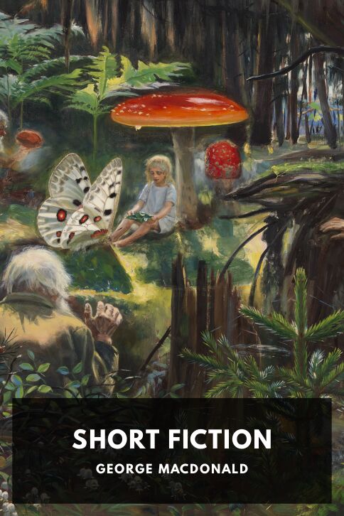 Typing practice story cover: Short Fiction