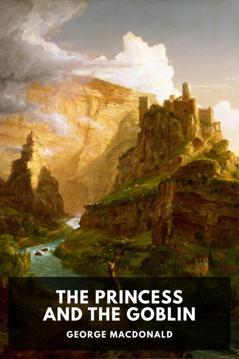 Typing practice story cover: The Princess and the Goblin