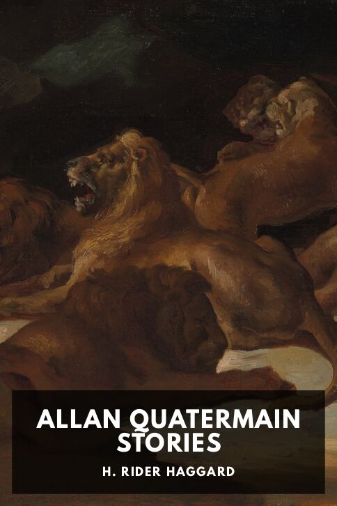 Typing practice story cover: Allan Quatermain Stories
