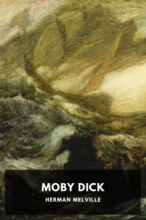 Typing practice story cover: Moby Dick