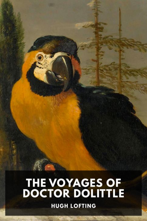 Typing practice story cover: The Voyages of Doctor Dolittle