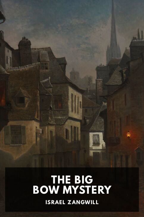 Typing practice story cover: The Big Bow Mystery