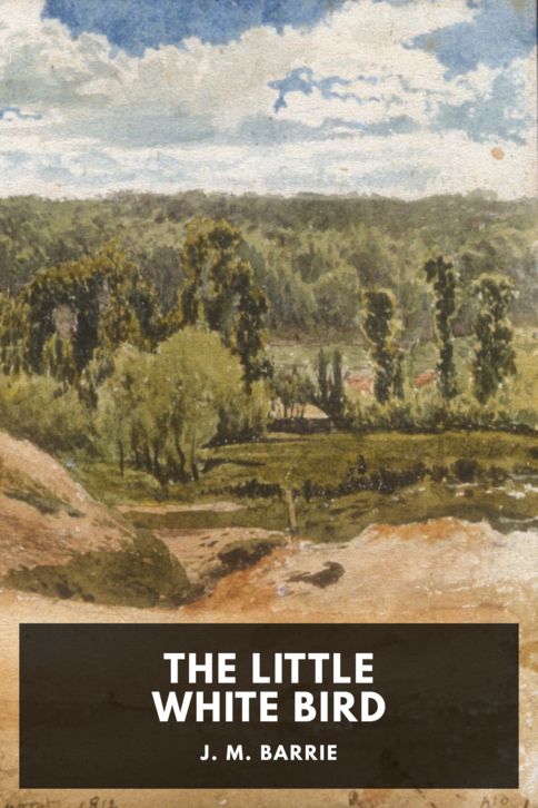 Typing practice story cover: The Little White Bird