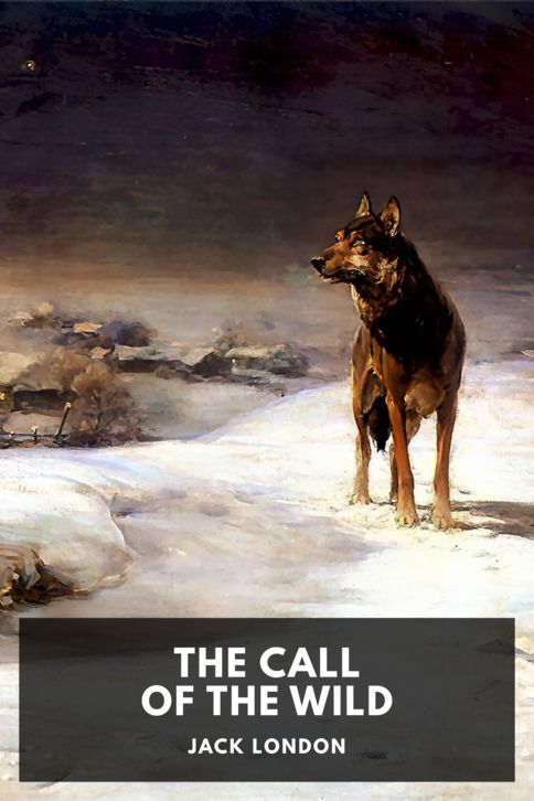 Typing practice story cover: The Call of the Wild