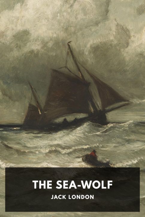 Typing practice story cover: The Sea-Wolf
