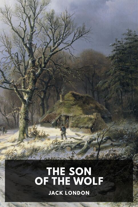 Typing practice story cover: The Son of the Wolf