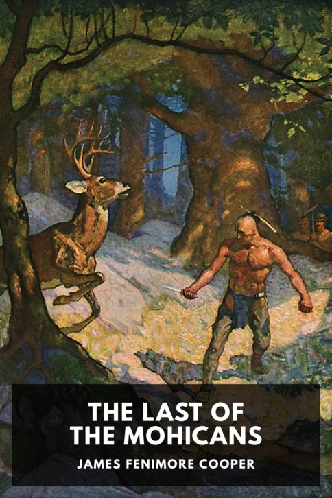 Typing practice story cover: The Last of the Mohicans