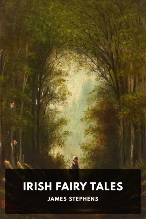 Typing practice story cover: Irish Fairy Tales