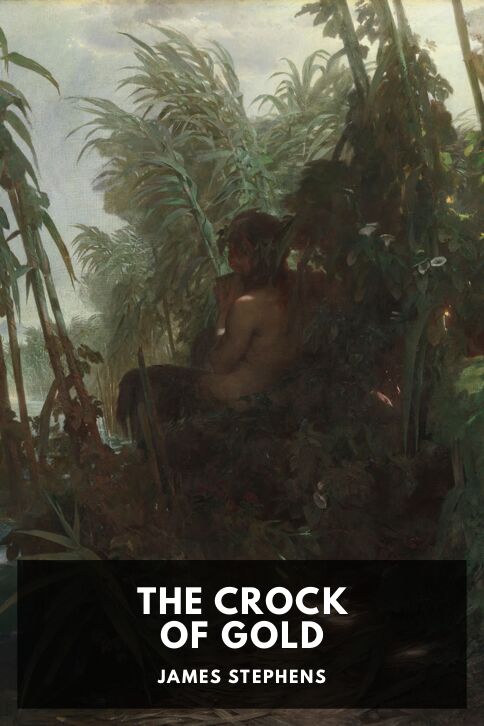 Typing practice story cover: The Crock of Gold