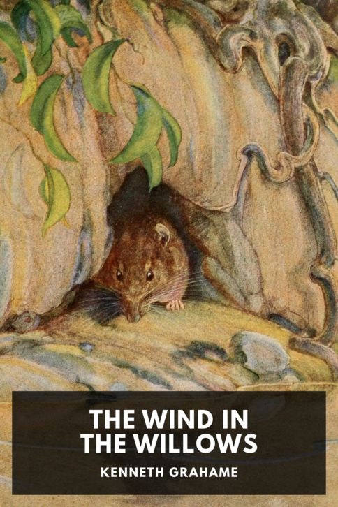 Typing practice story cover: The Wind in the Willows