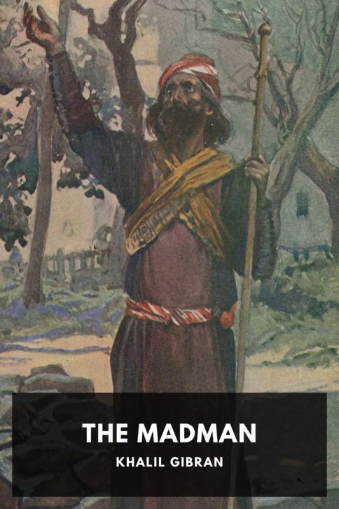 Typing practice story cover: The Madman