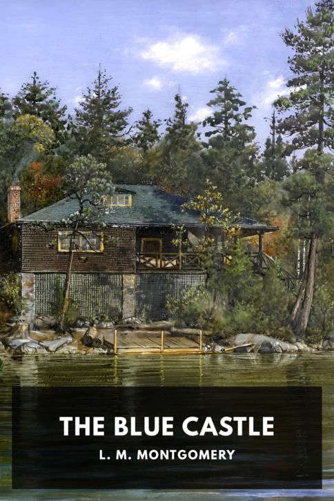 Typing practice story cover: The Blue Castle