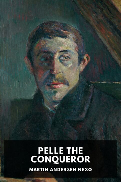 Typing practice story cover: Pelle the Conqueror