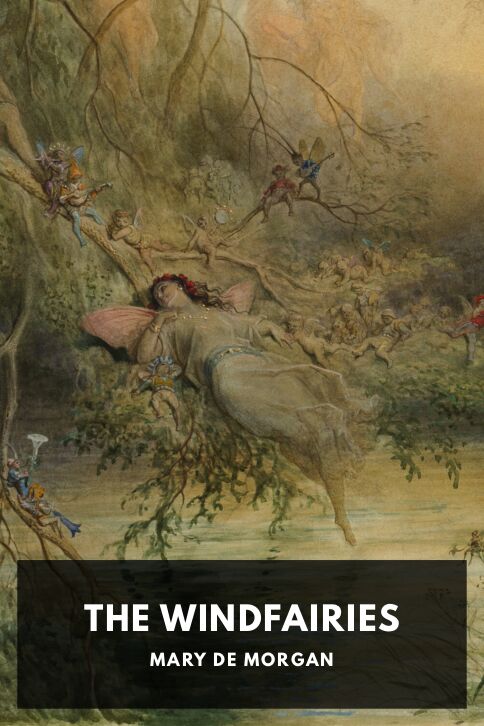 Typing practice story cover: The Windfairies