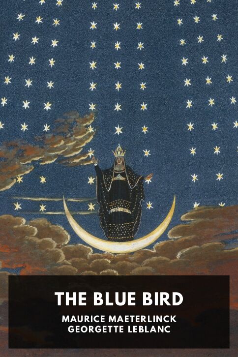 Typing practice story cover: The Blue Bird