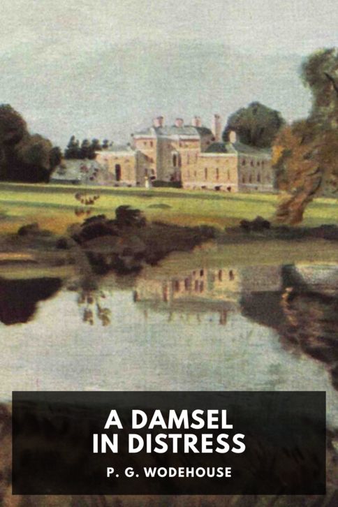 Typing practice story cover: A Damsel in Distress