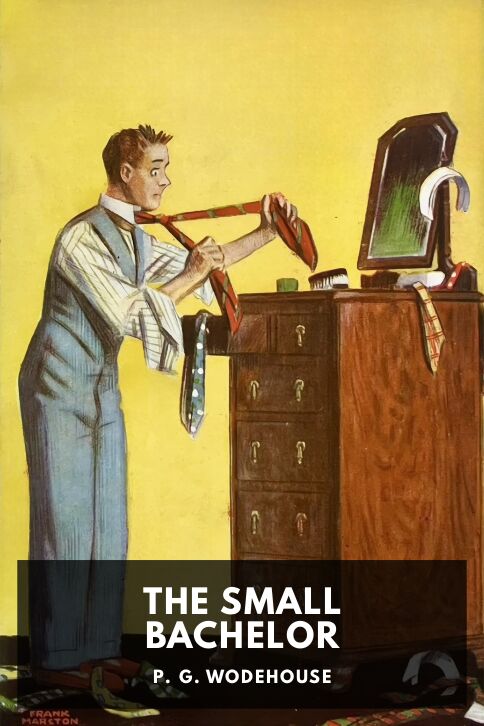 Typing practice story cover: The Small Bachelor