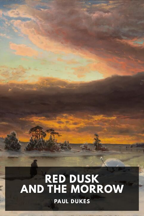 Typing practice story cover: Red Dusk and the Morrow