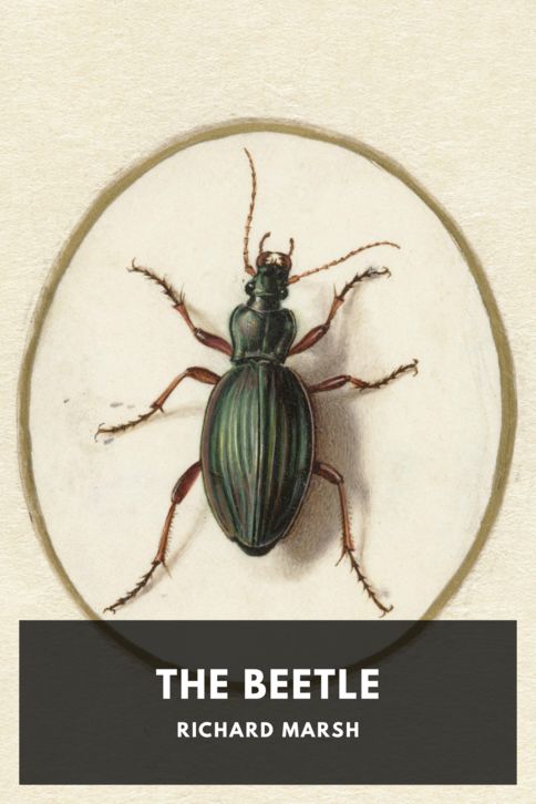 Typing practice story cover: The Beetle