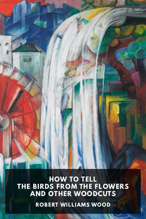 Typing practice story cover: How to Tell the Birds from the Flowers and Other Woodcuts