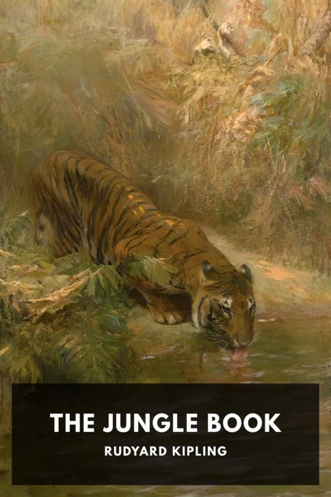 Typing practice story cover: The Jungle Book