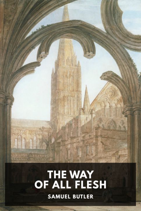Typing practice story cover: The Way of All Flesh