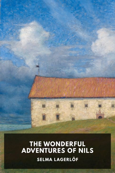 Typing practice story cover: The Wonderful Adventures of Nils