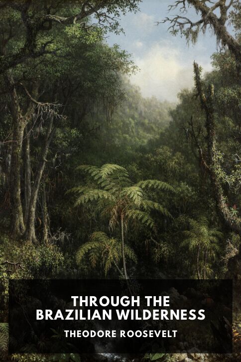 Typing practice story cover: Through the Brazilian Wilderness