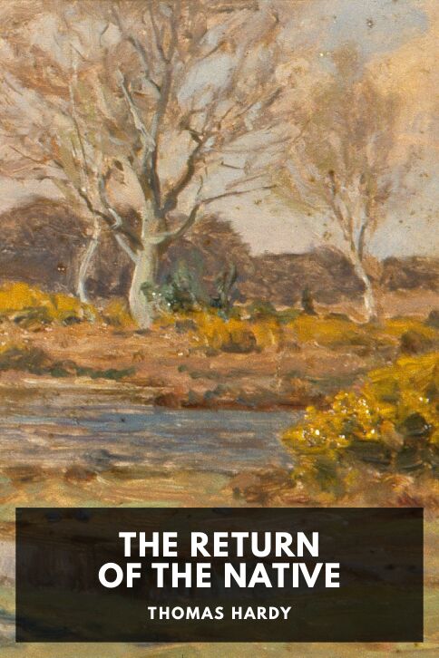 Typing practice story cover: The Return of the Native