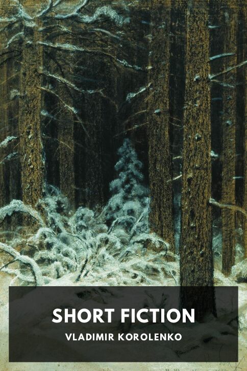 Typing practice story cover: Short Fiction