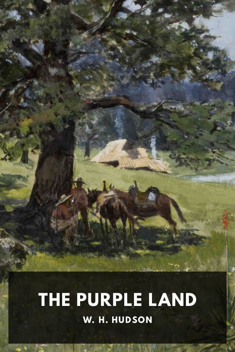 Typing practice story cover: The Purple Land