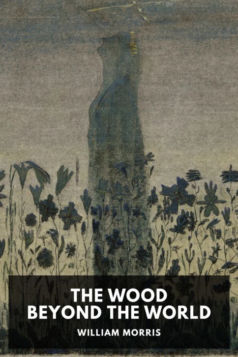 Typing practice story cover: The Wood Beyond the World